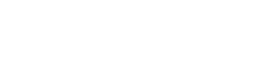 TamarAI